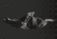 Void CTRL_002