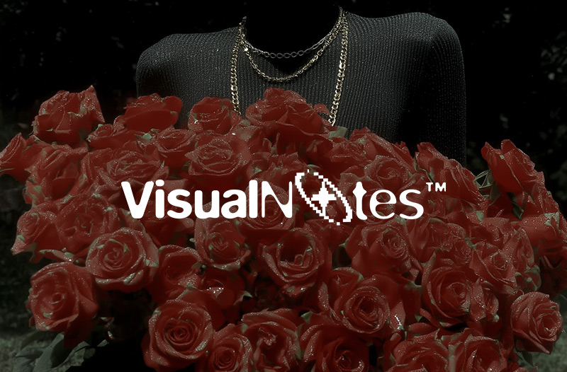 Visual Notes